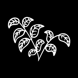 una pequeña hoja de planta